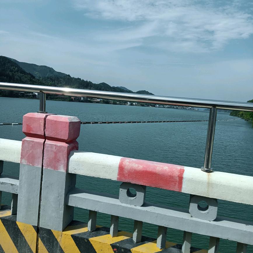 蟑螂恶霸
