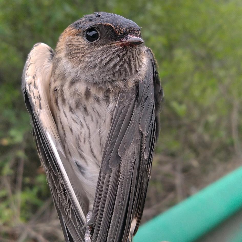 寥寥无几❣️❣️❣️