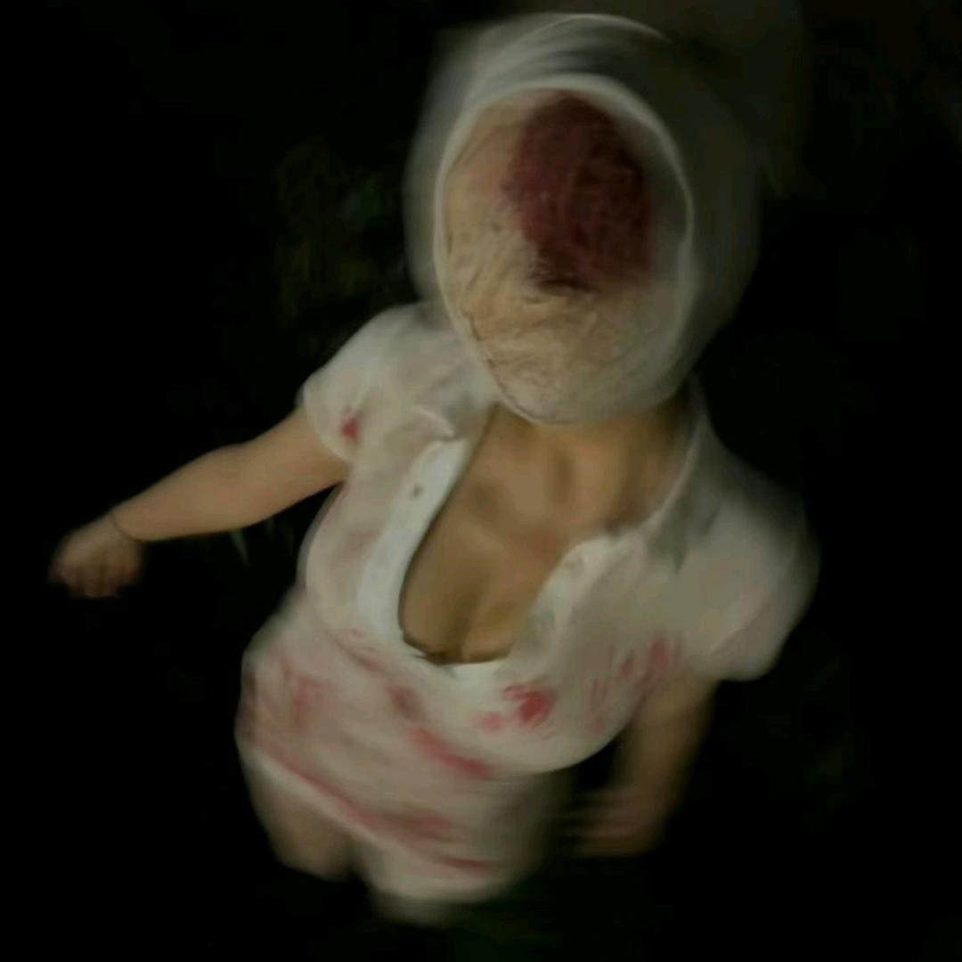 H13.
