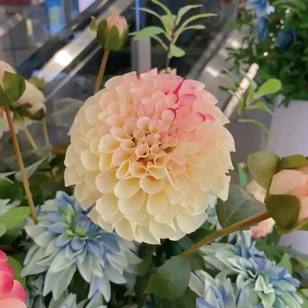 花开富贵