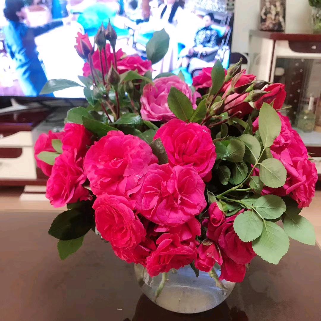春夏秋冬🌺🌺🌺