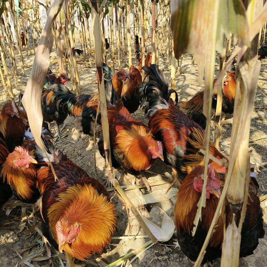 用户9189799356115‘