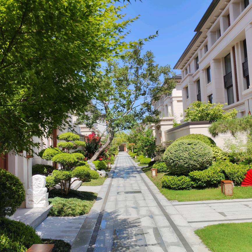 老冯聊郑州楼市