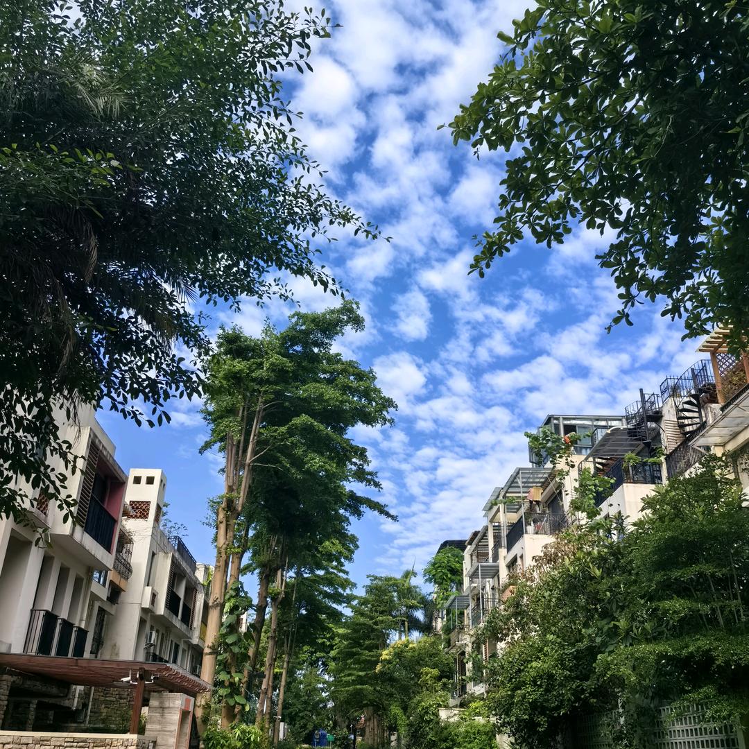 龙华佳