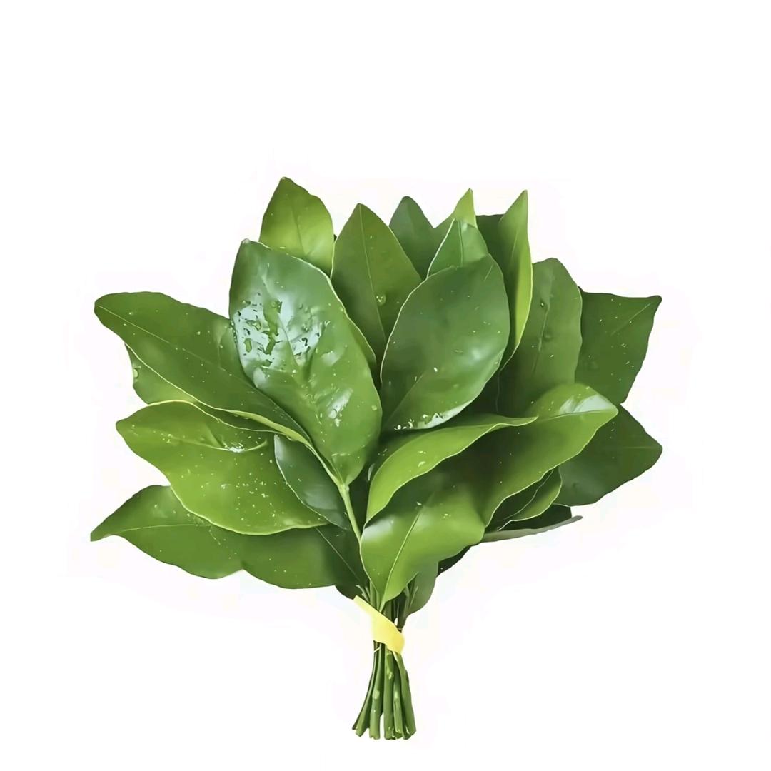 偷了霸总蕾丝内裤套头上狂奔的那个雨夜