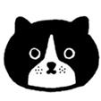 Gua 。