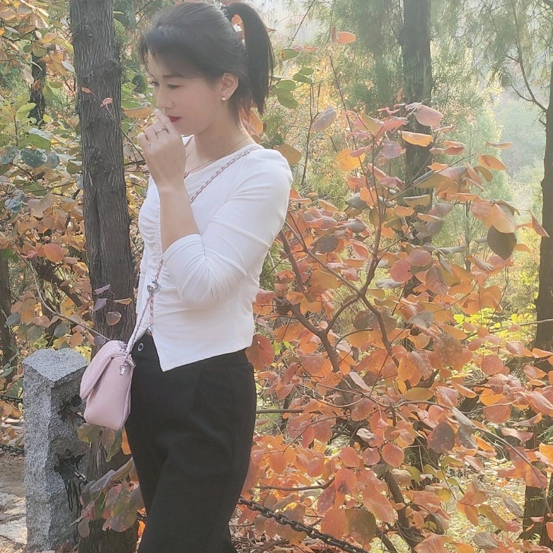 满目山河