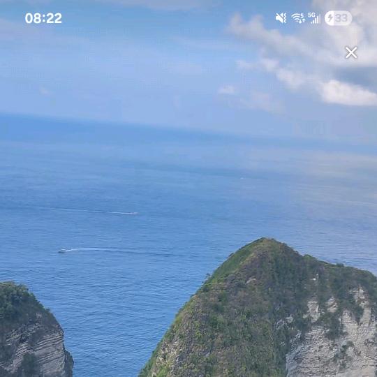 阿树