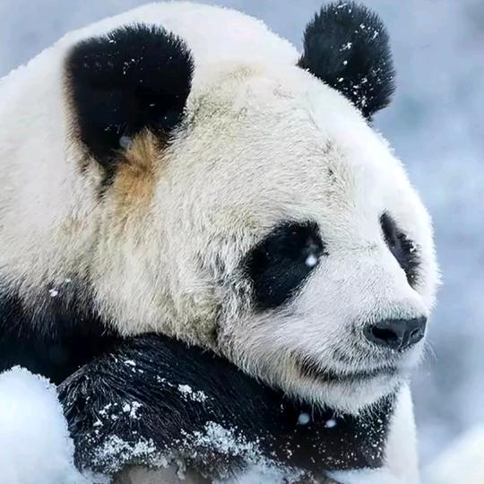 幸福方程式