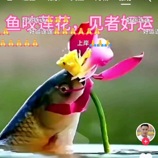 张