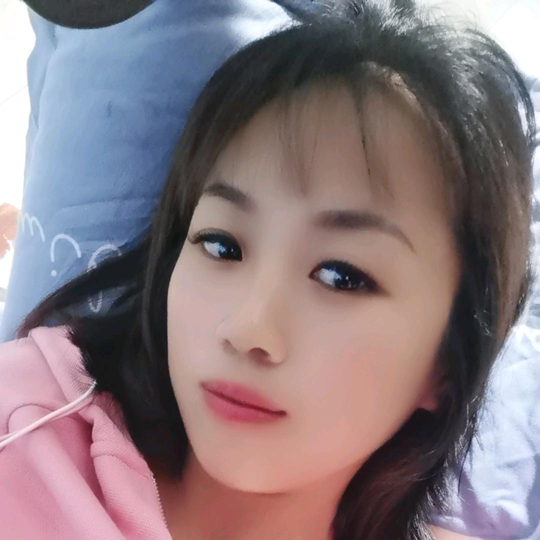 鸽子