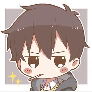 花叶超频（X电竞）电脑DIY