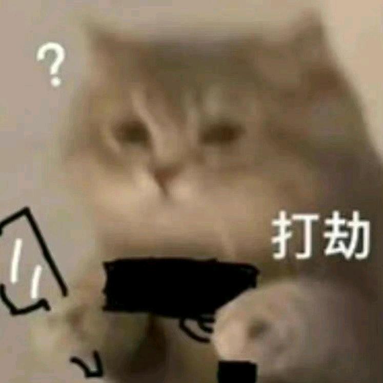 兔白白