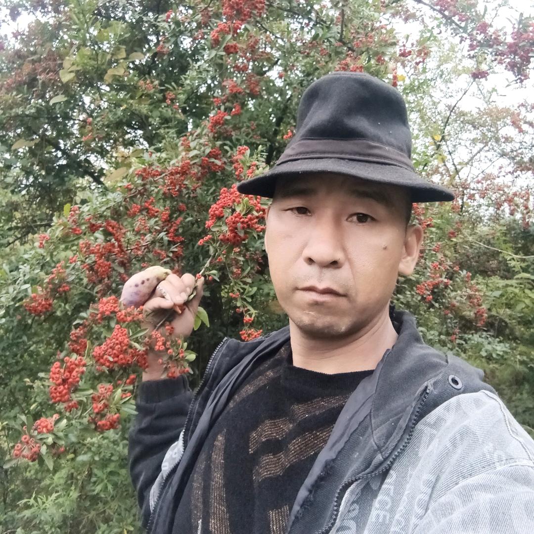 随便