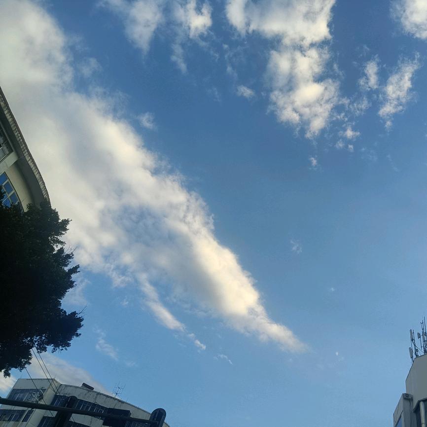 努力拼搏