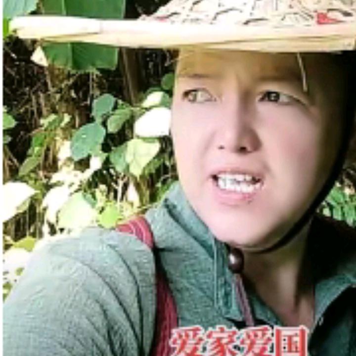 蝶网