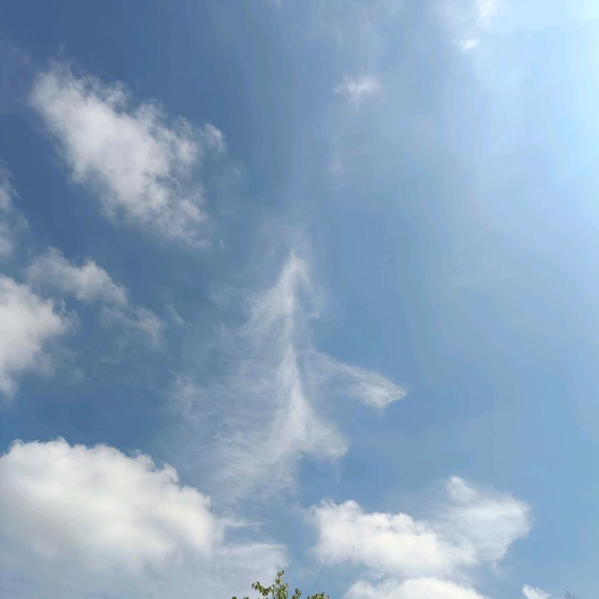 安防监控杨飞