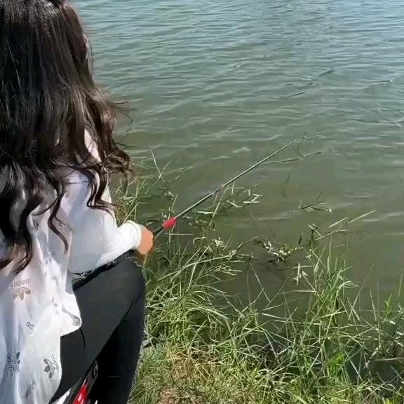 爱钓鱼的雨姐