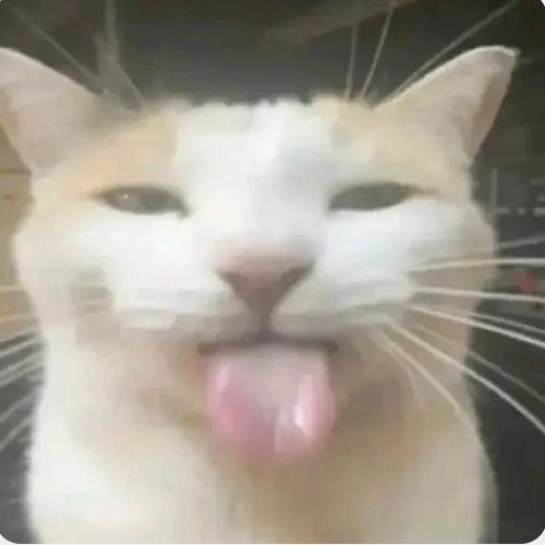 赤氯瓯