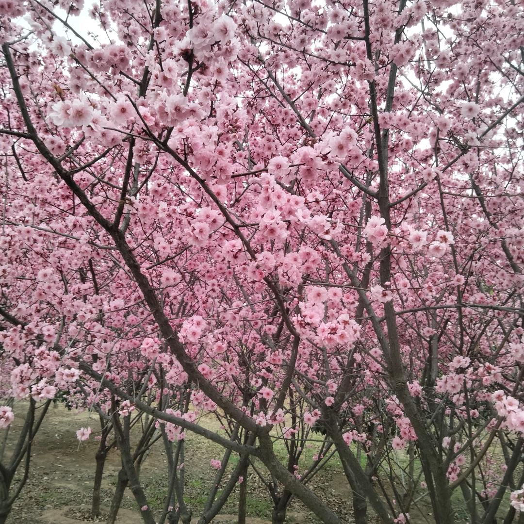 阳光总再风雨后