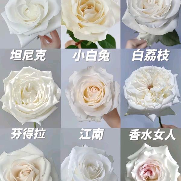 花时