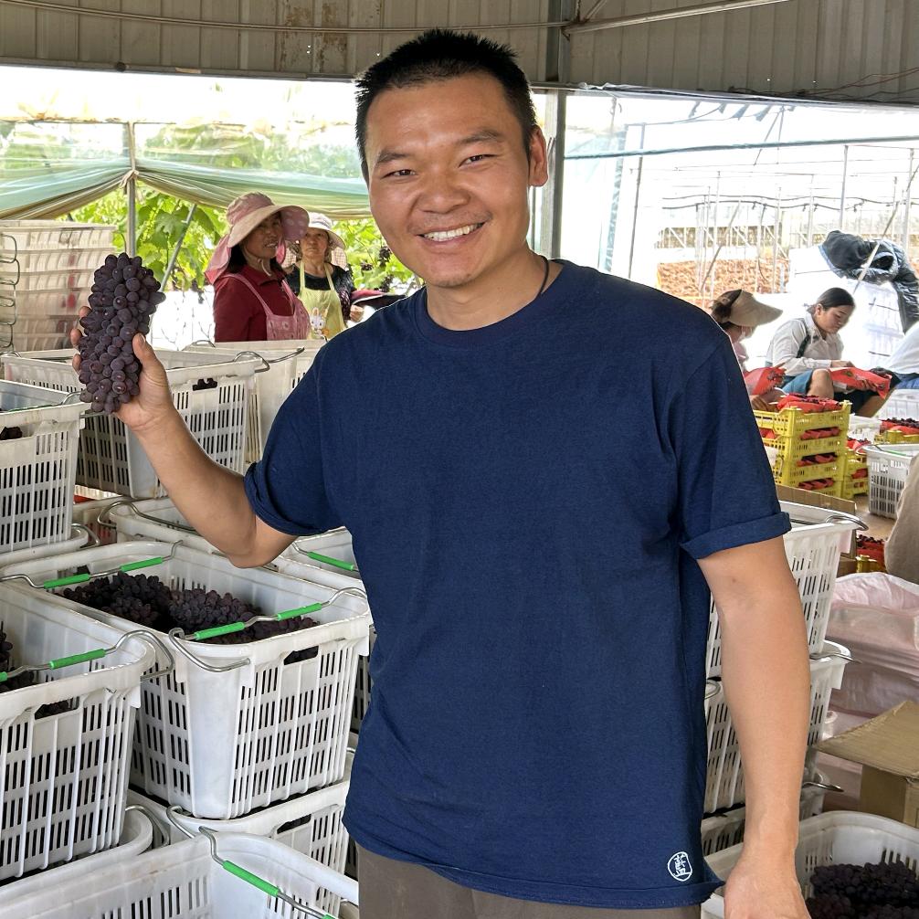 弥勒一亩田农业