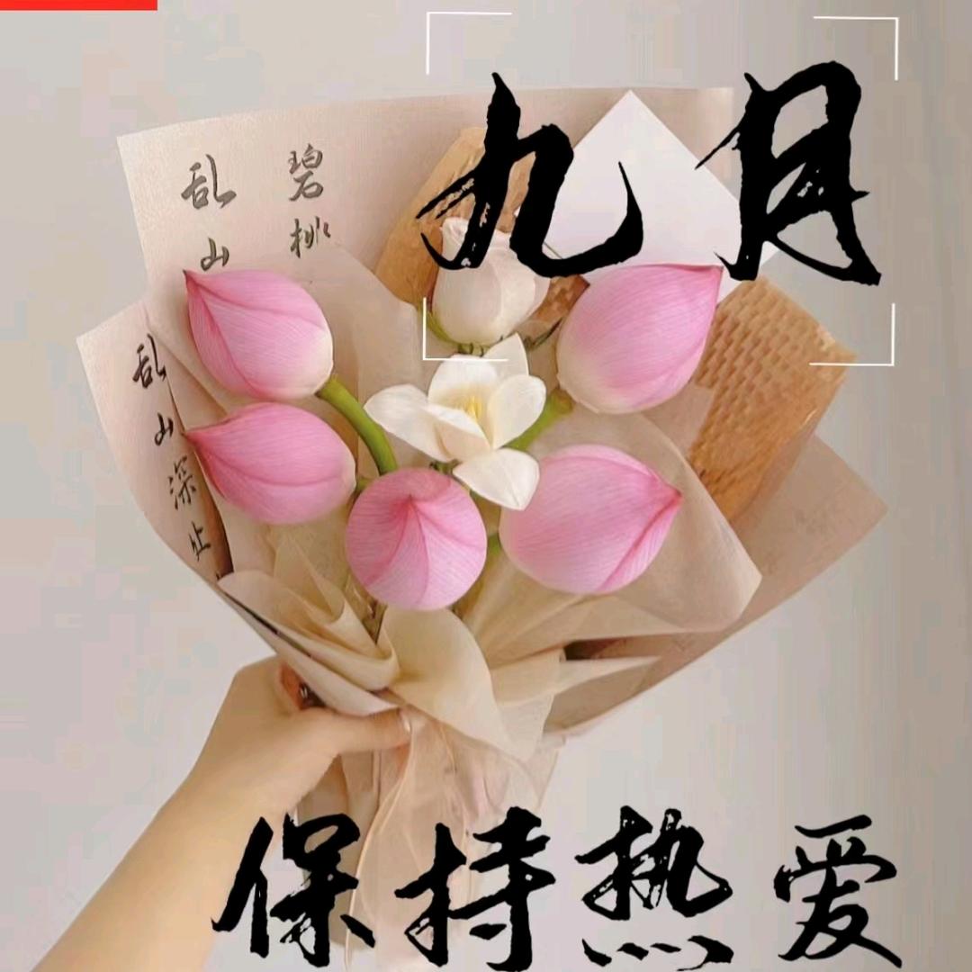 豆儿