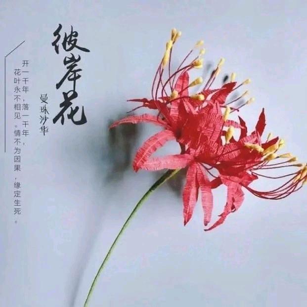 柒月