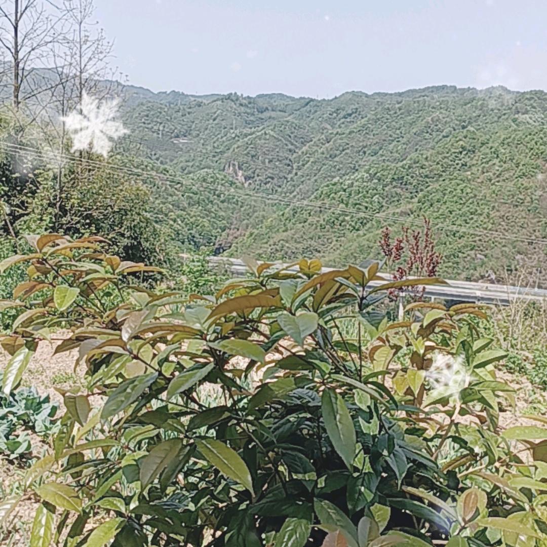 一人一车走天涯