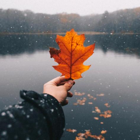 骑着三蹦子去拾粪