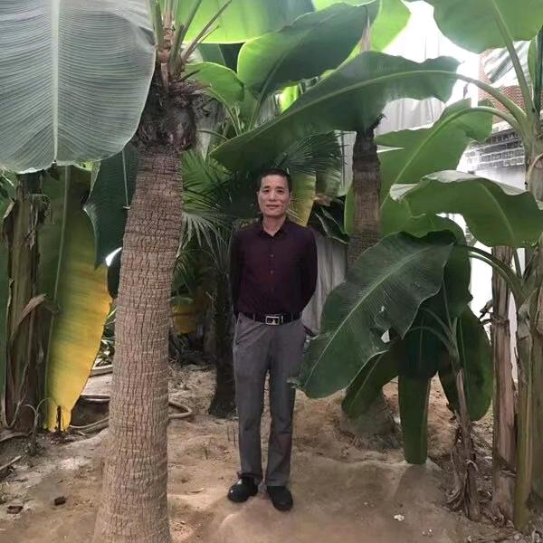 Li杰