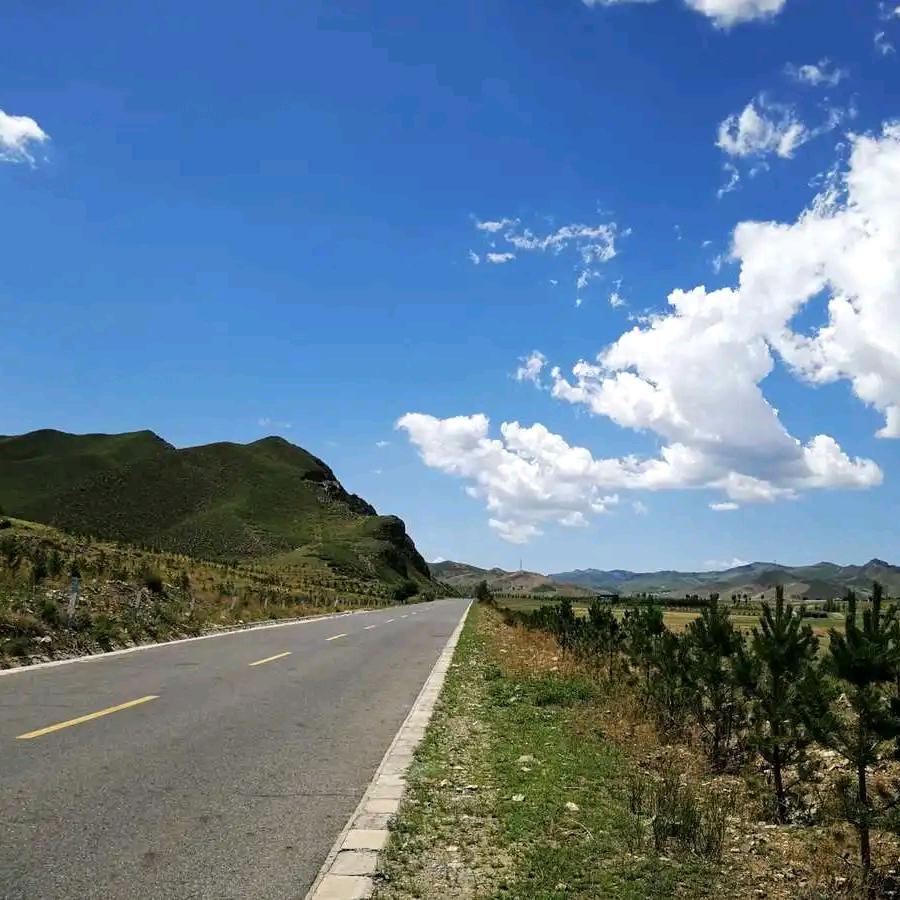 海东教授