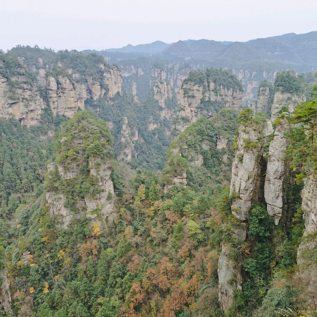 会做饭的霸天虎