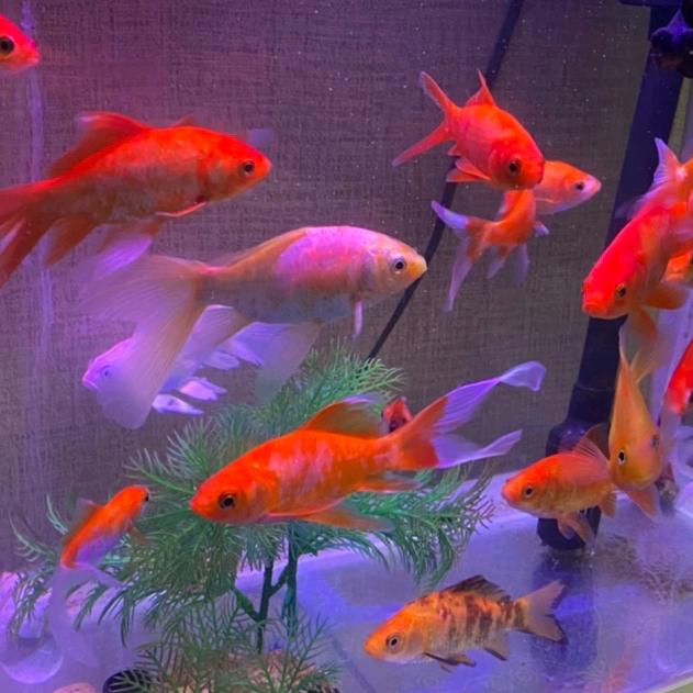 众鑫旧货回收有限公司