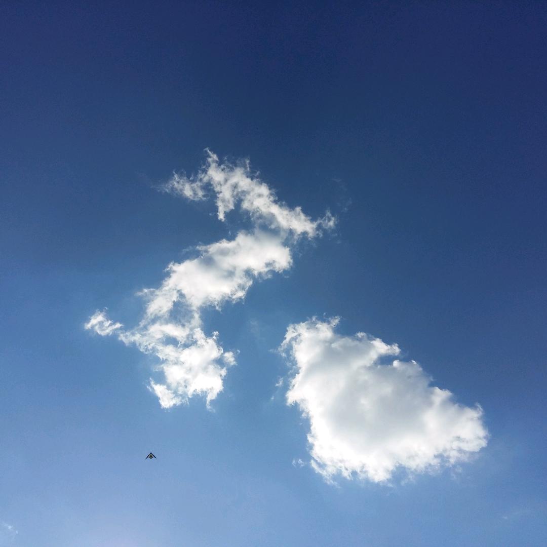 ✨小知名人士666✨