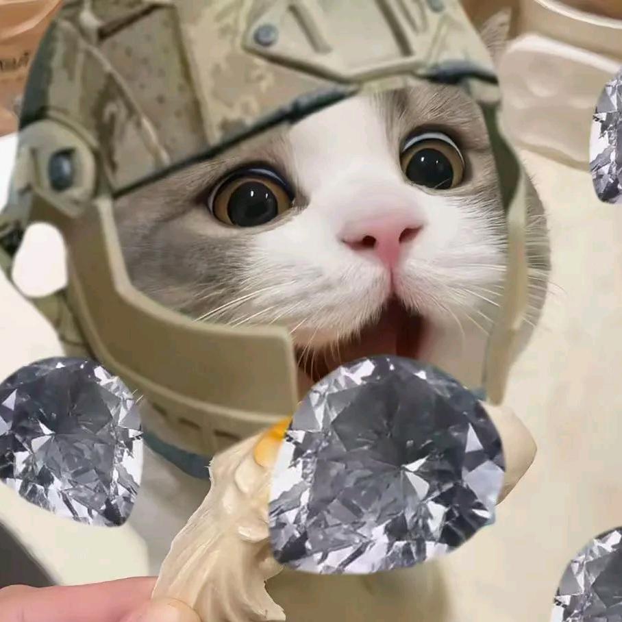 毛豆（三角洲跑刀）