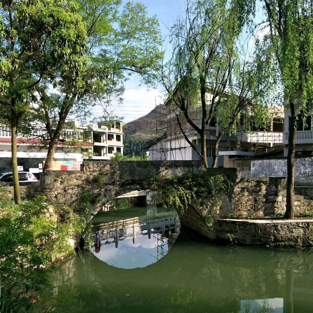 土豆