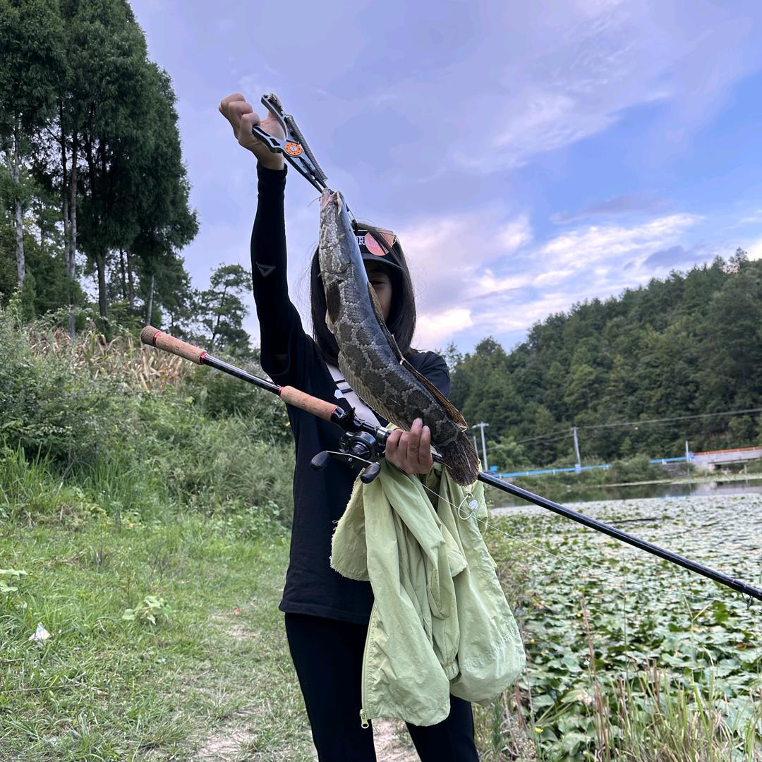 琴琴学路亚🎣