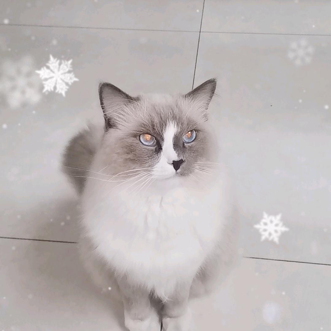 兰英