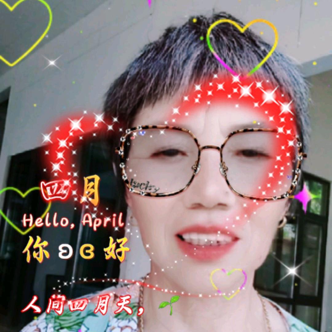 用户666黄茶花