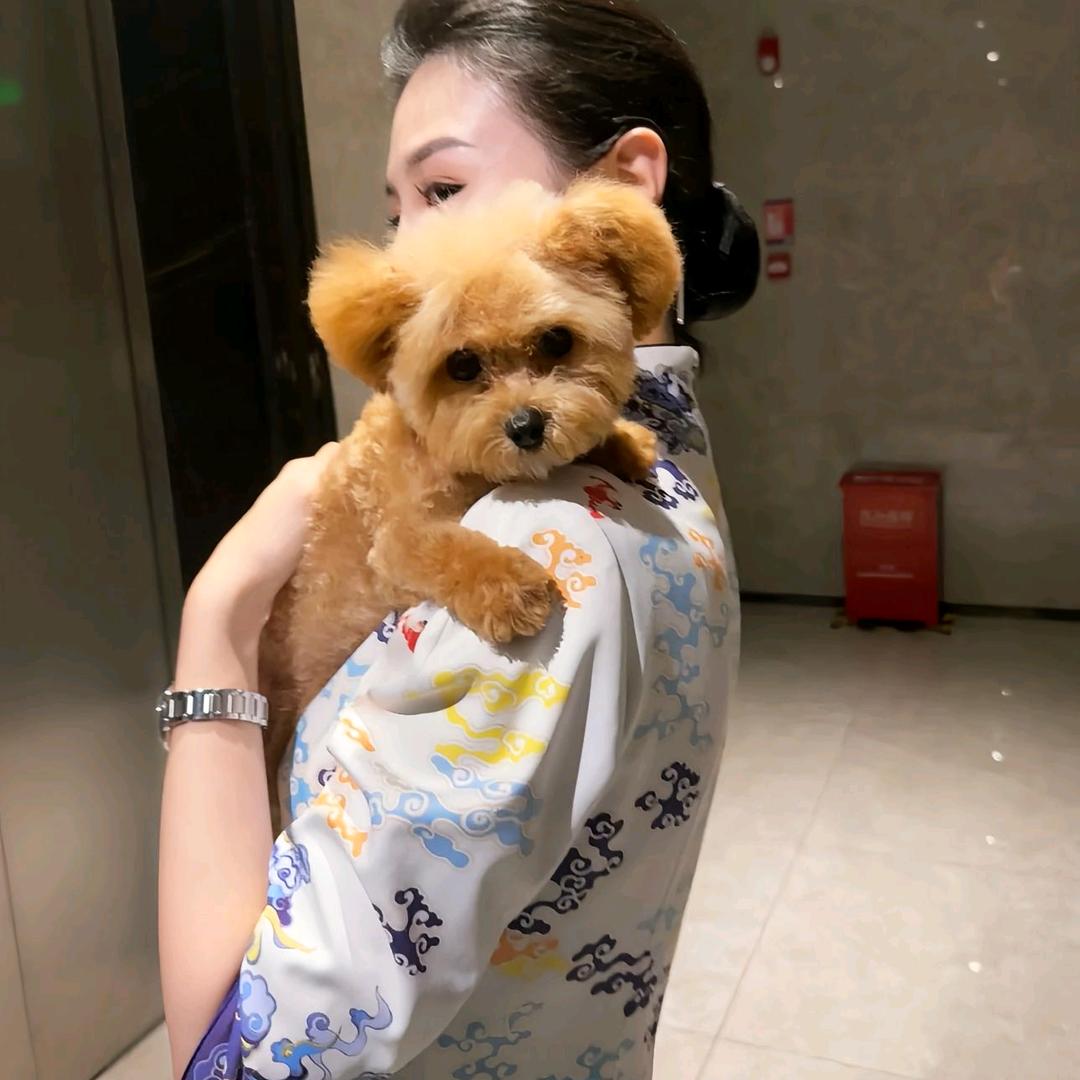 婉儿有梦
