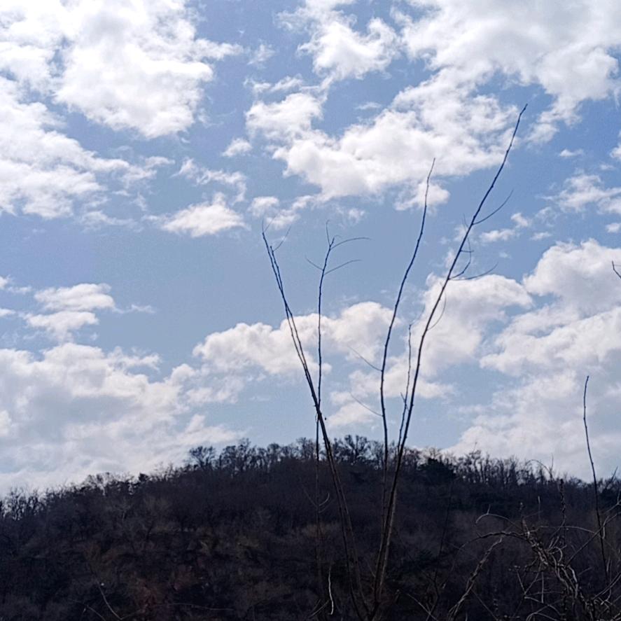 不一样的人生，不一样的我