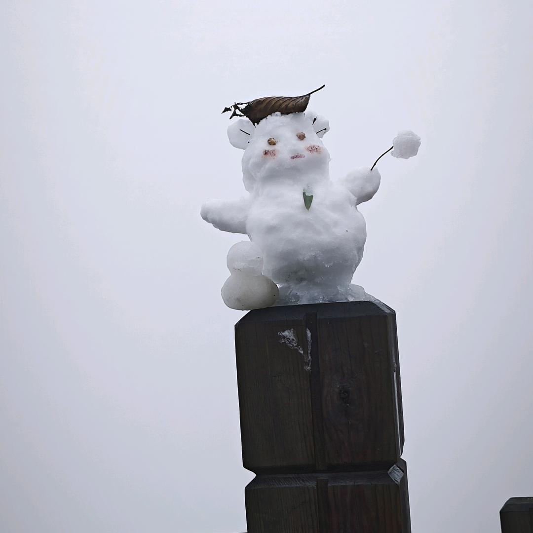 今天天气好