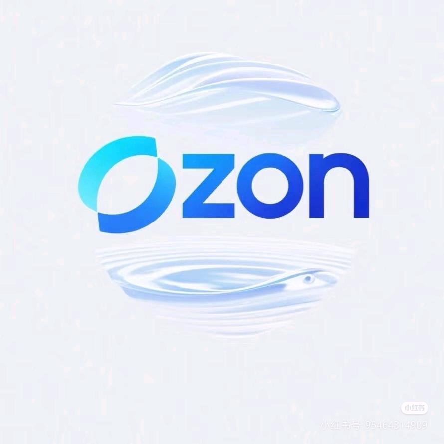 保定跨境电商 OZON～雪儿