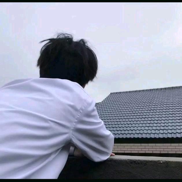 旋木