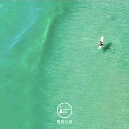 议方🌸