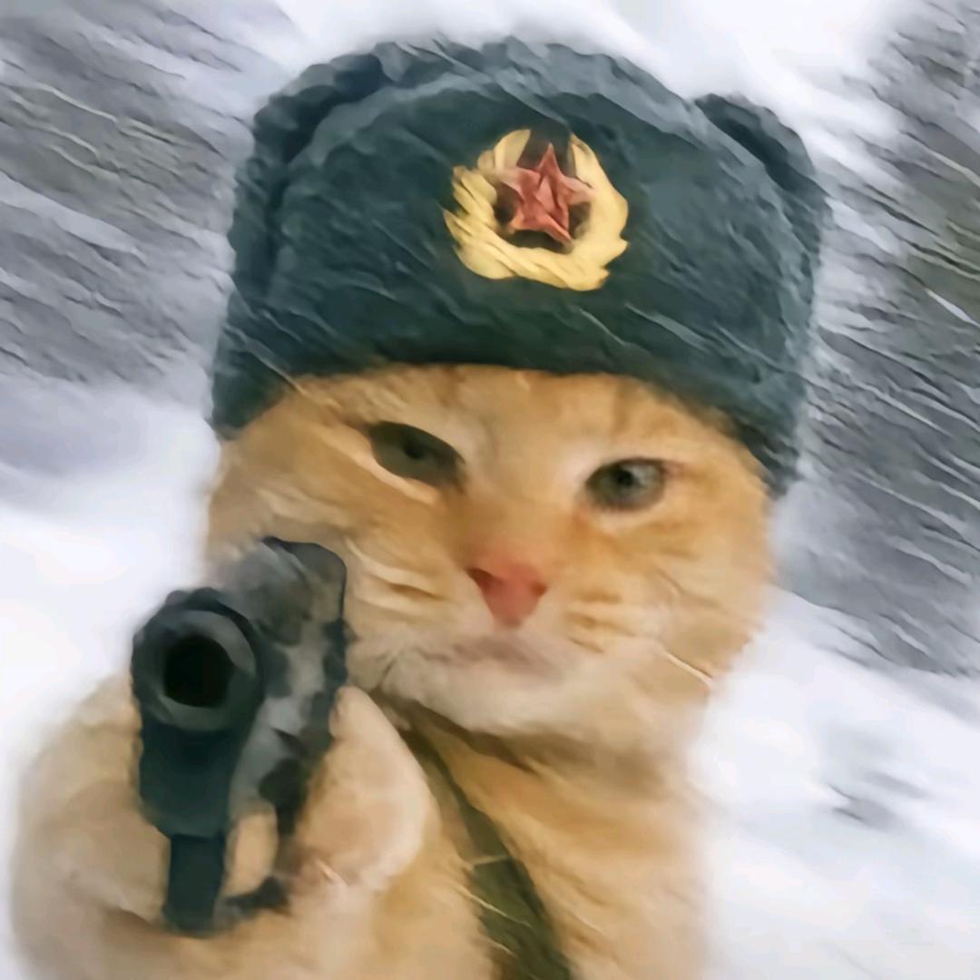 西瓜头＼(`Δ’)／