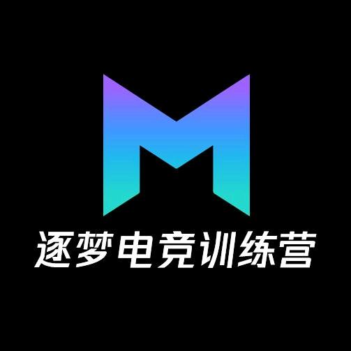 逐梦电竞训练营官方号