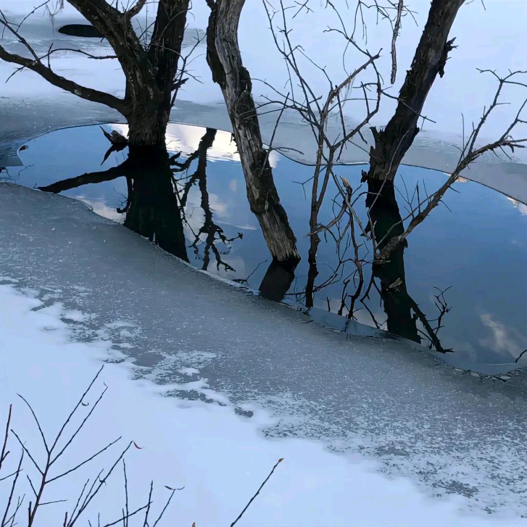 大头