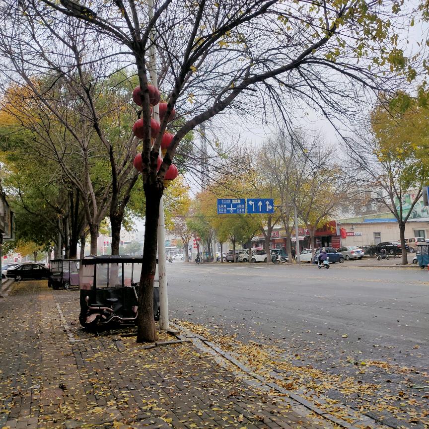 A8+芭莎3号馆服装店